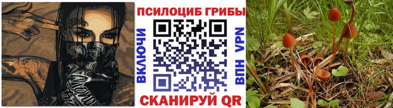 купить  сайты  Отрадная  ссылка на мегу маркетплейс  Псилоцибиновые грибы MAGIC MUSHROOMS 
