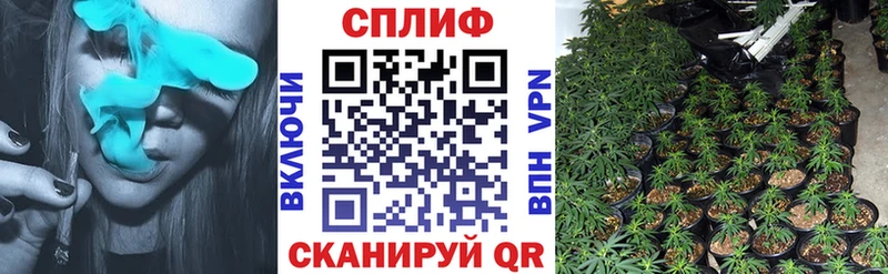 это наркотические препараты Отрадная МАРИХУАНА гибрид